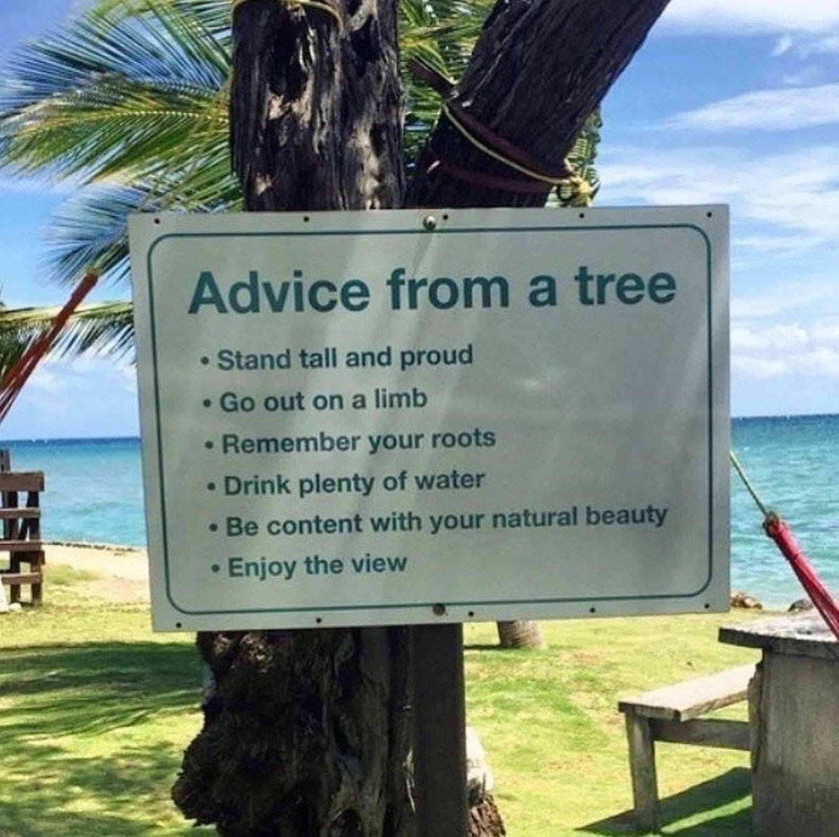 Your friends on social media