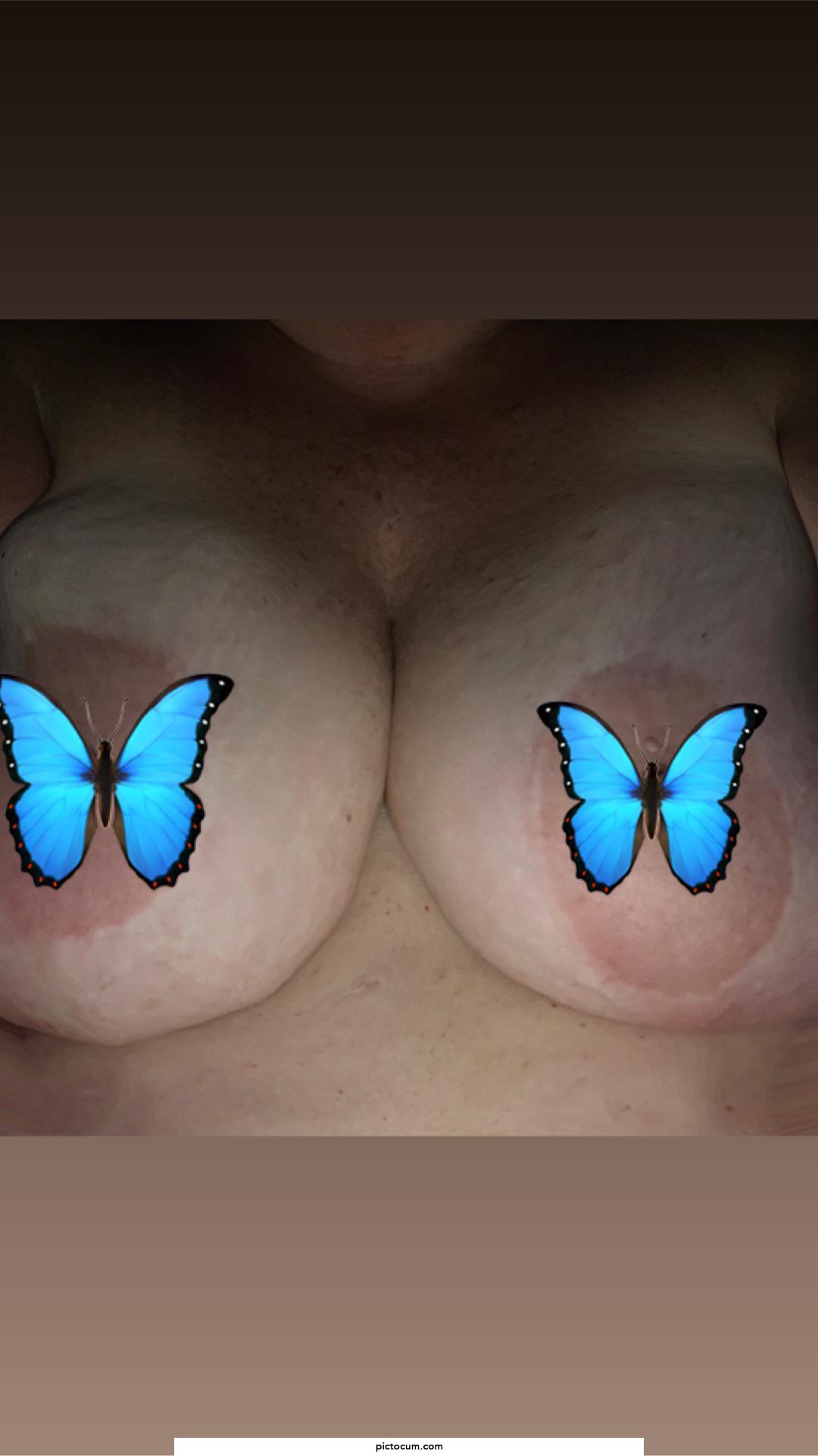 🦋 believe it or not, they're real.