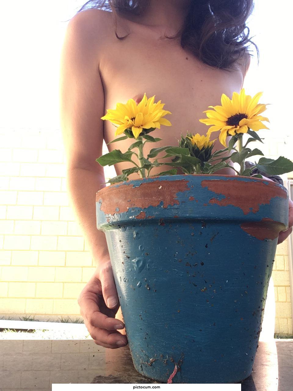 I can make almost anything grow for me