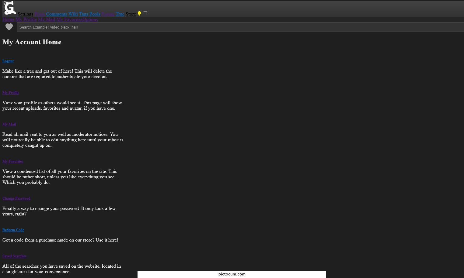 Any idea why Gelbooru is like this?