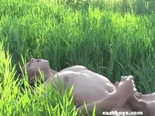 Manuel Rios cums laying in tall grass