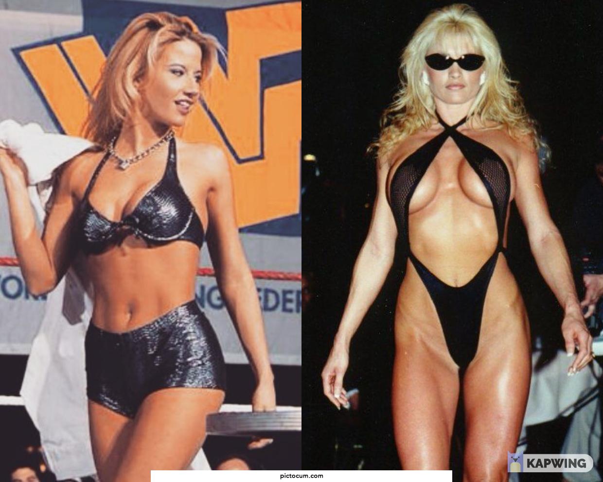 Old school WWF fans. Who got more of your loads back in the day, Sunny or Sable?
