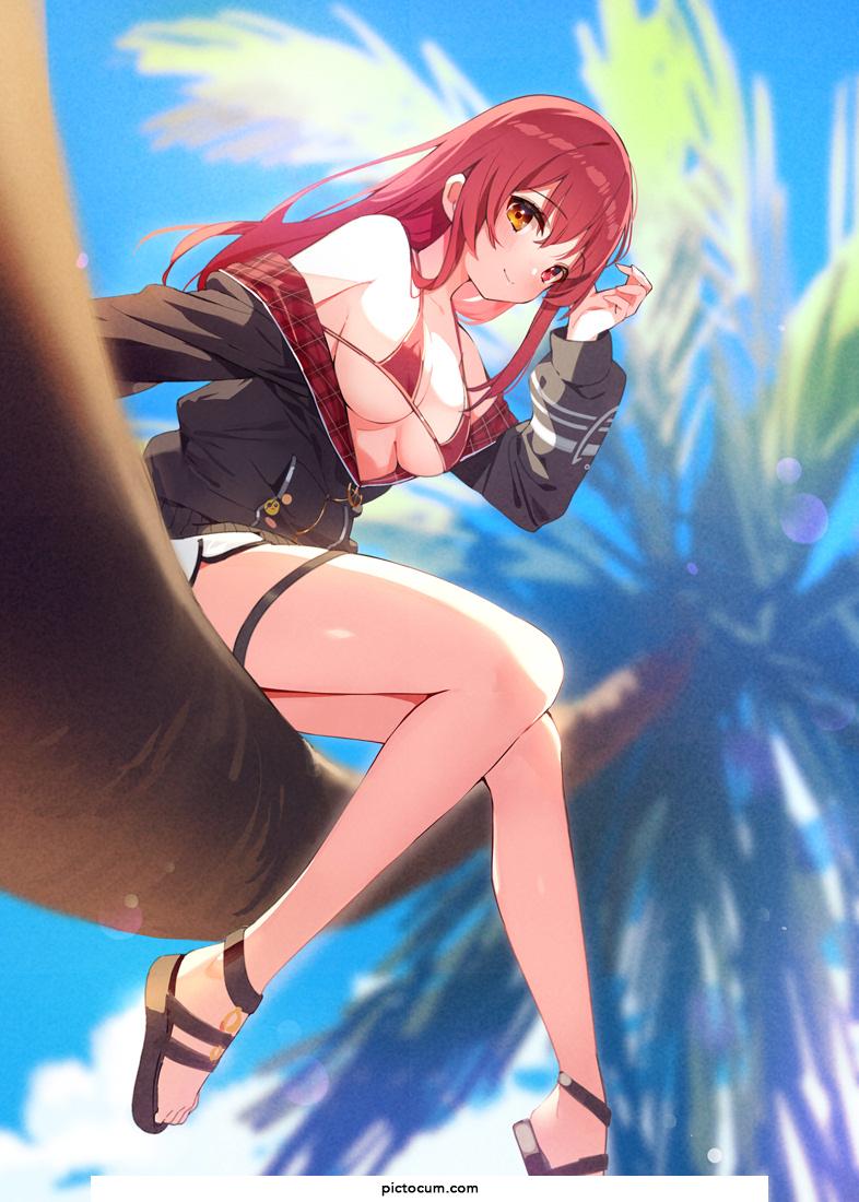 Marine's Swimsuit [Hololive]