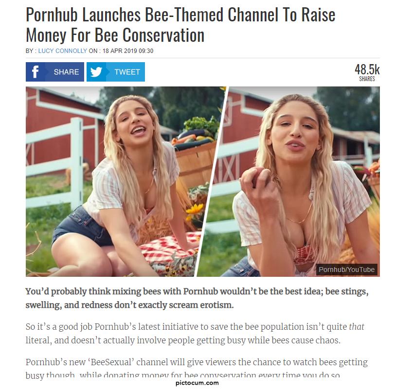 IDK what you guys did, but good job