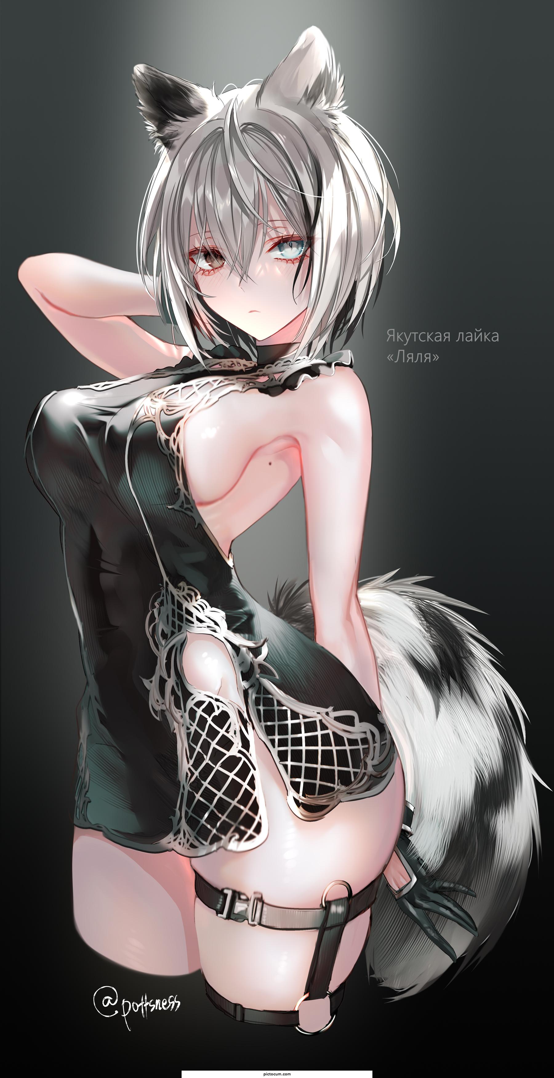 Yakutian Laika's Lyalya
