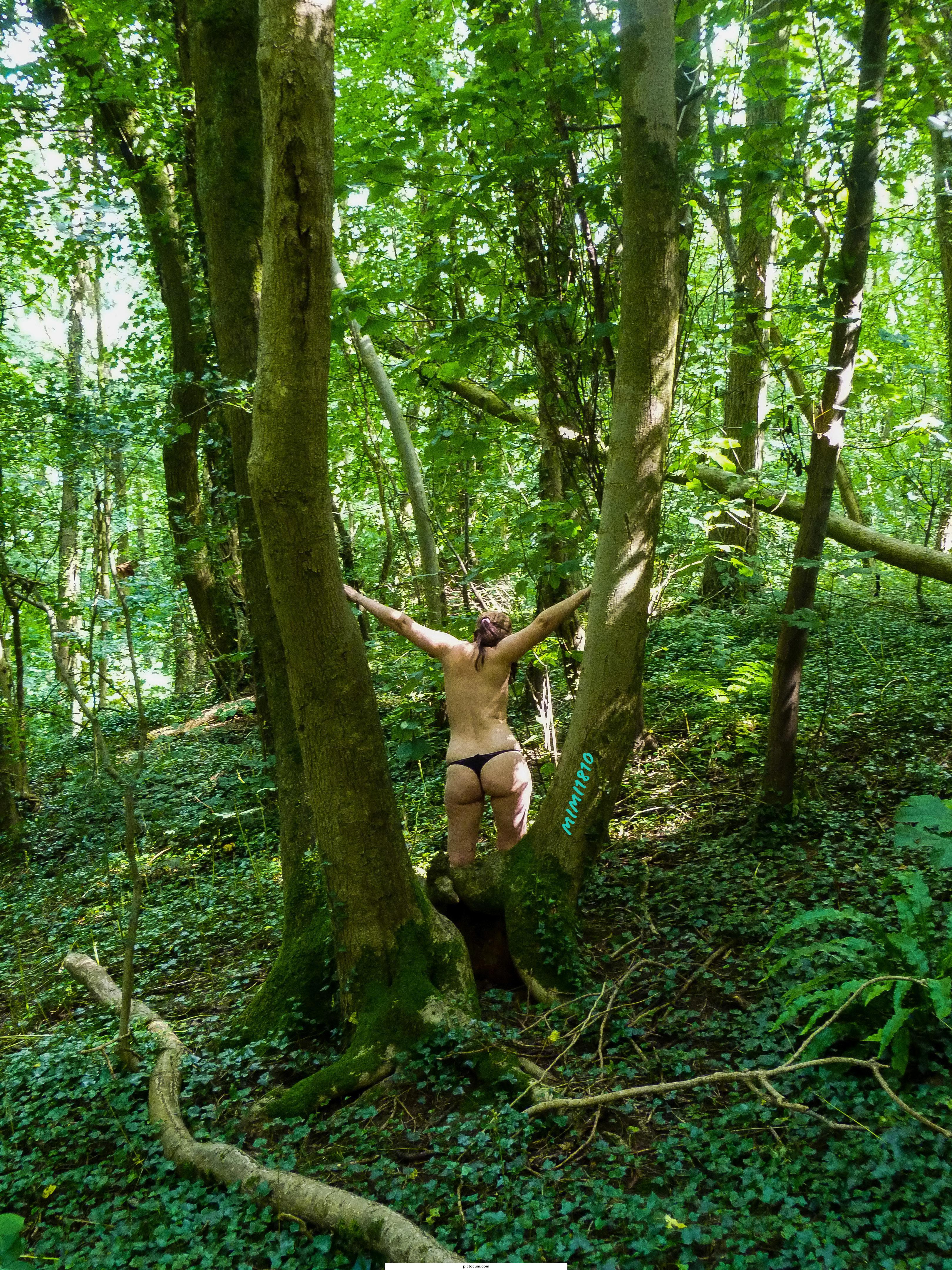 I've been lost in nature