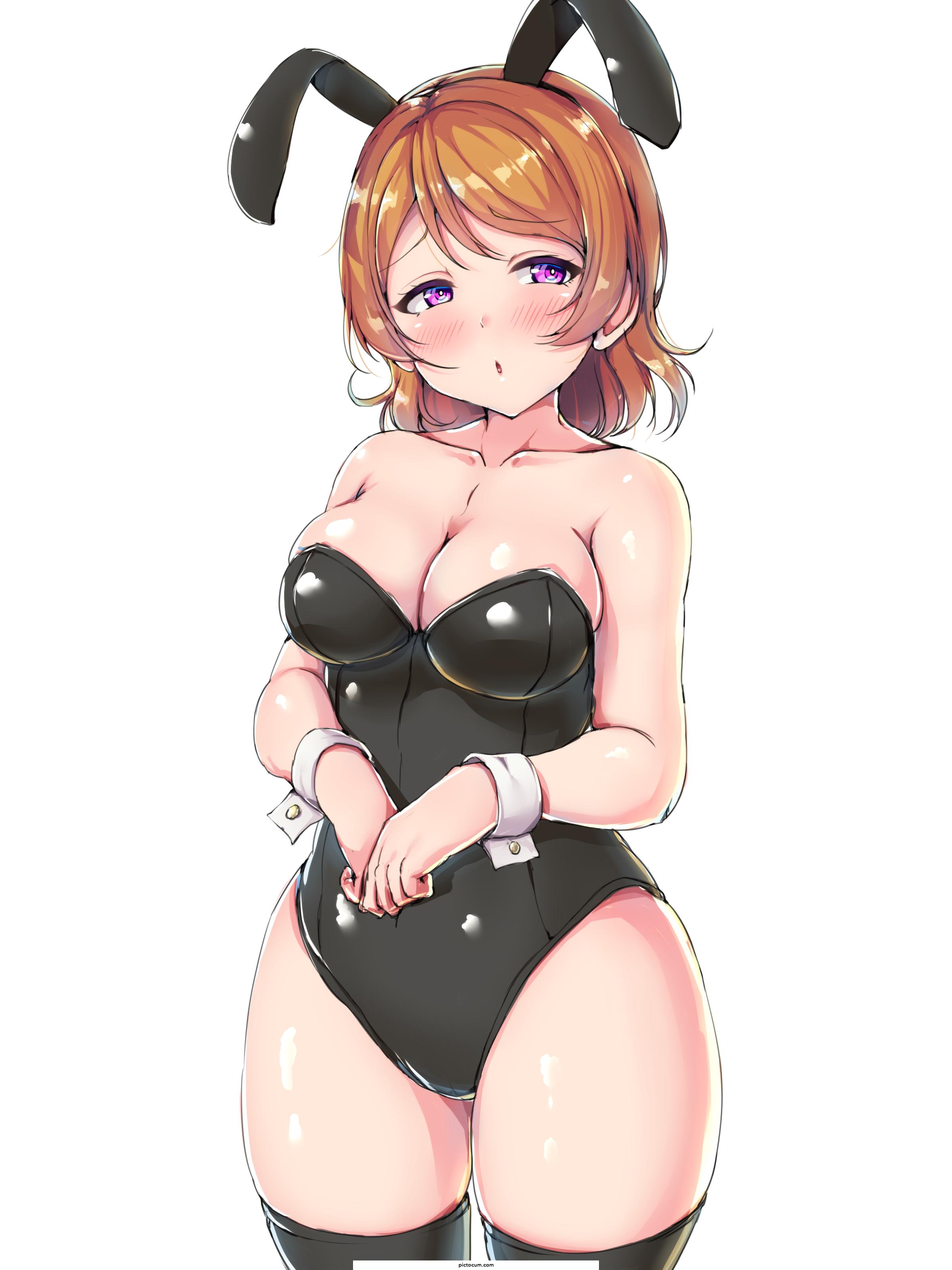 Bunny Hanayo