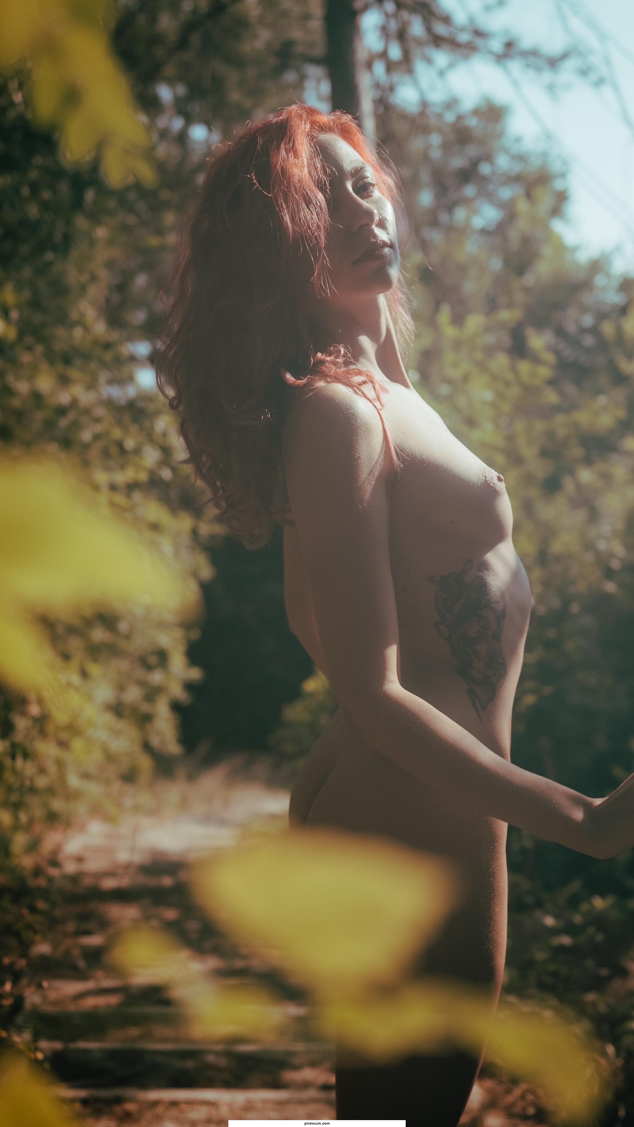 Going wild in the forest
