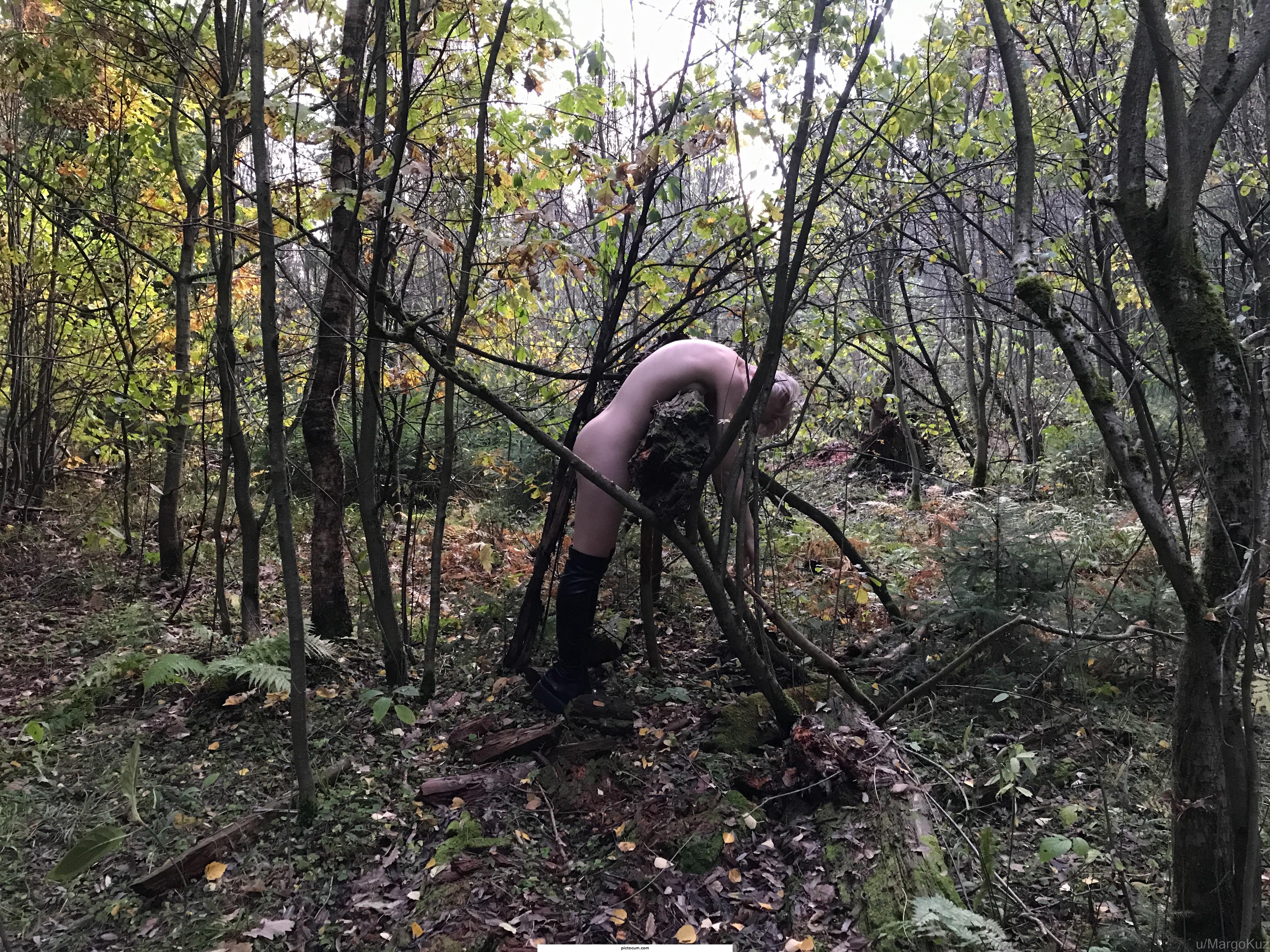 Chilling in the forest