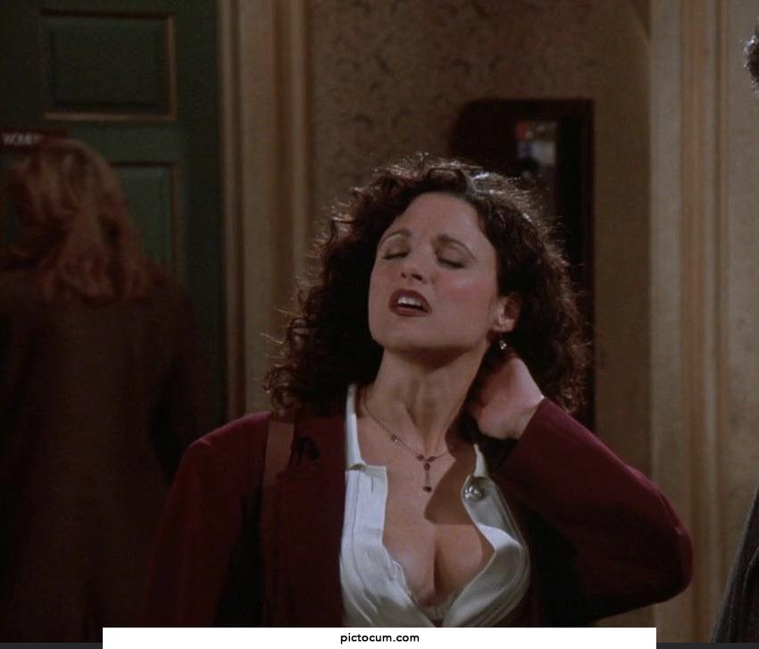Julia Louis-Dreyfus - Seinfeld