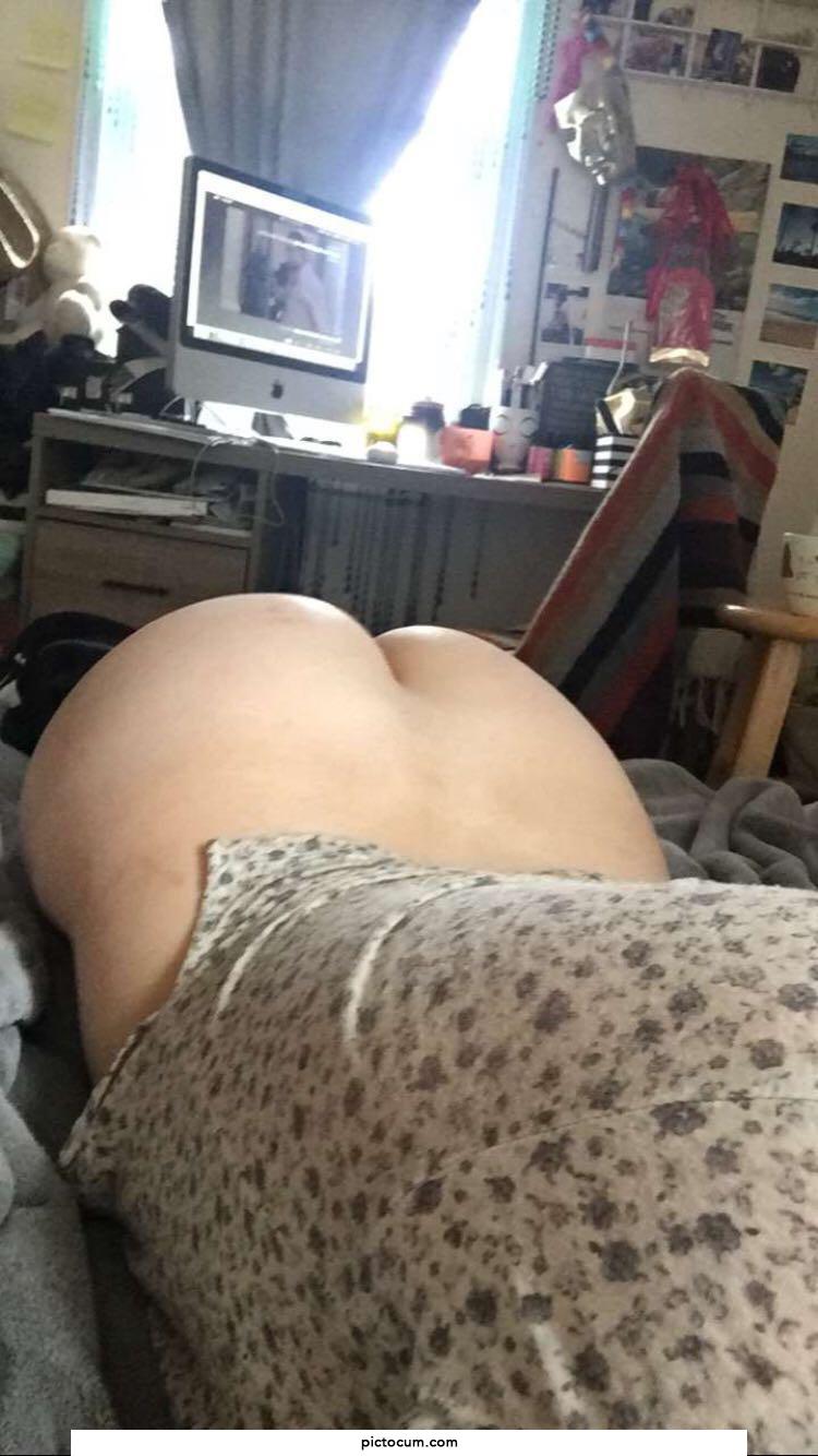 Still looking for a bull