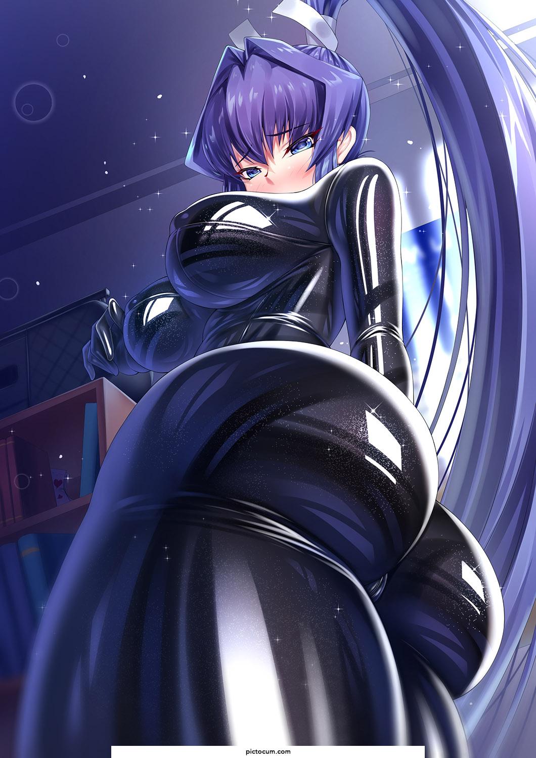 Mitsurugi Meiya Perfect Suit