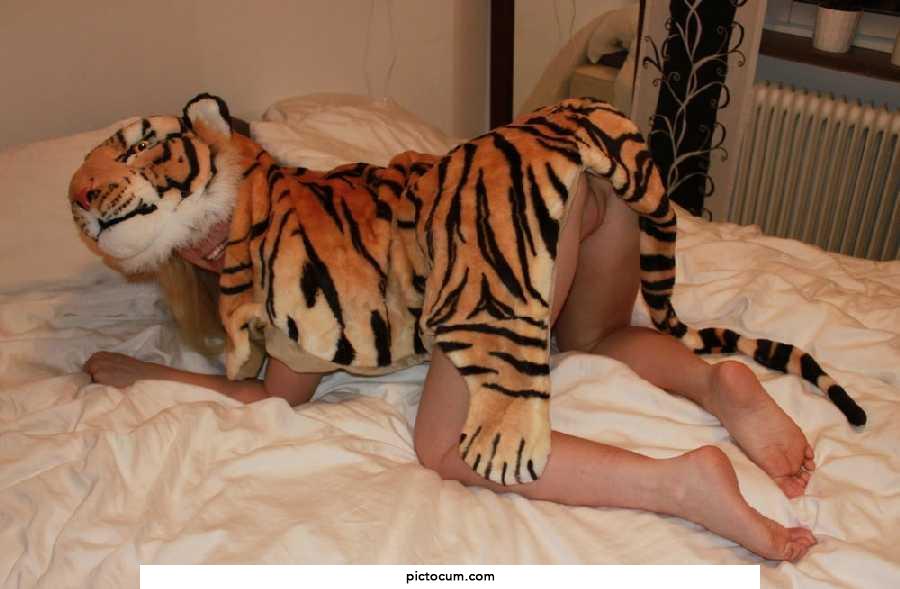 Kitty showing