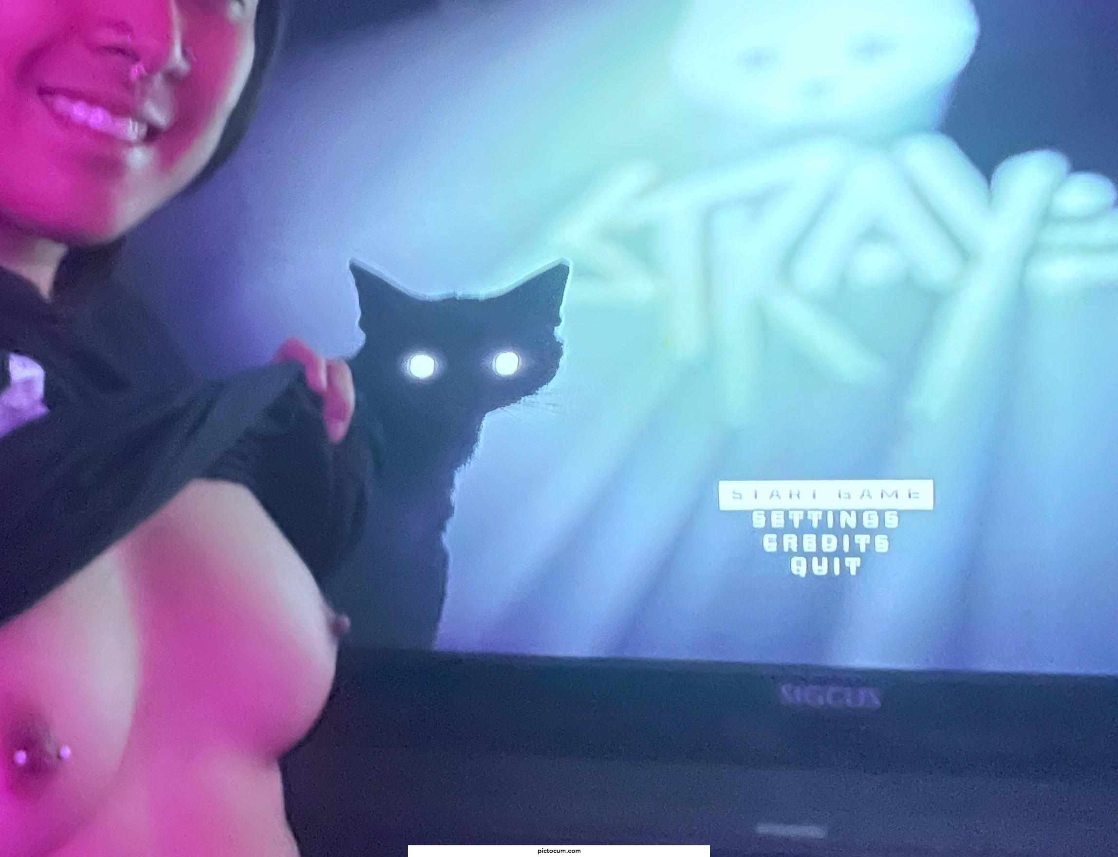 Who else has played this game and likes it as much as I did? 🐈‍⬛ 💜