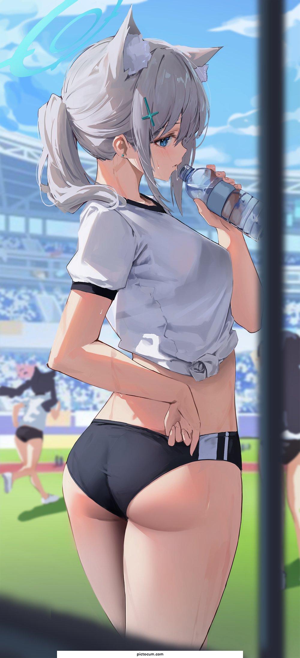Shiroko