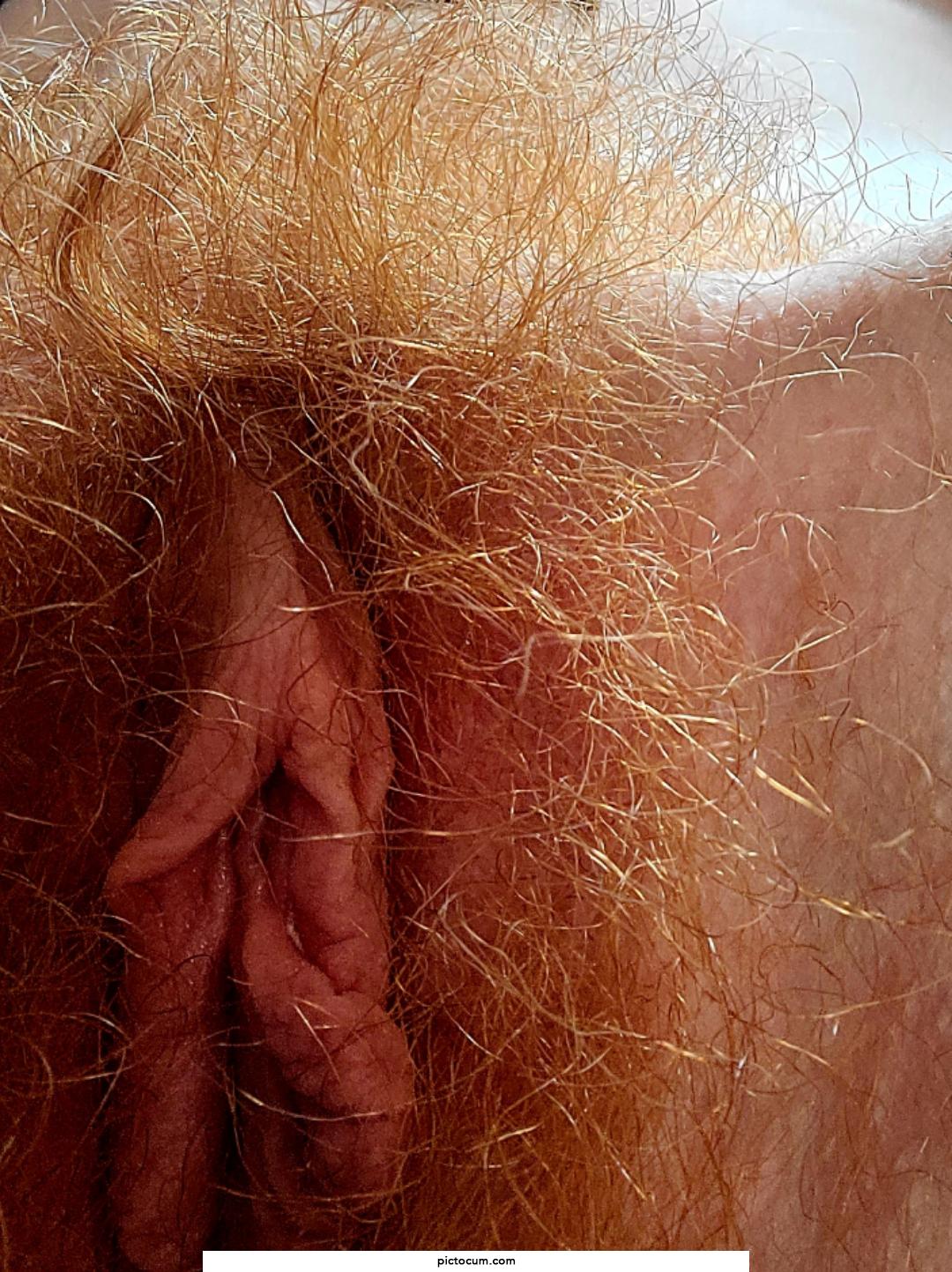 Happy hump day