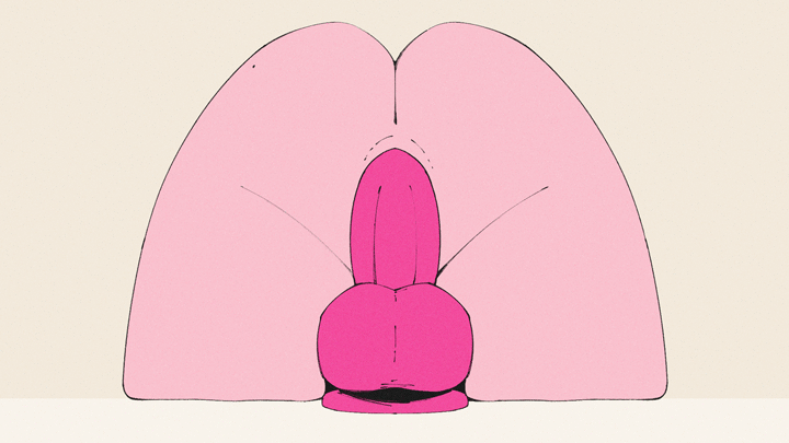 Tight ass riding dildo