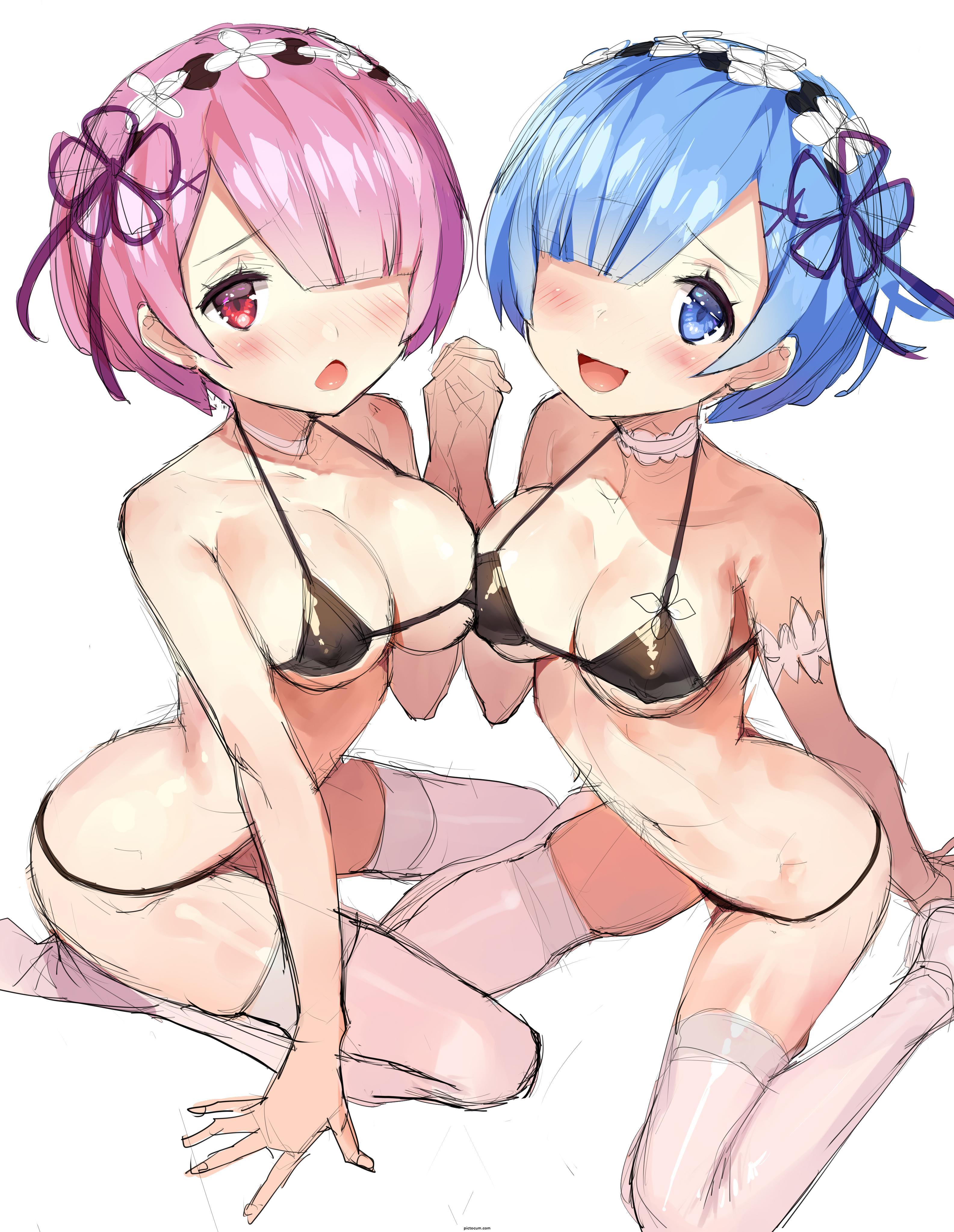 Rem And Ram Bikini Maids