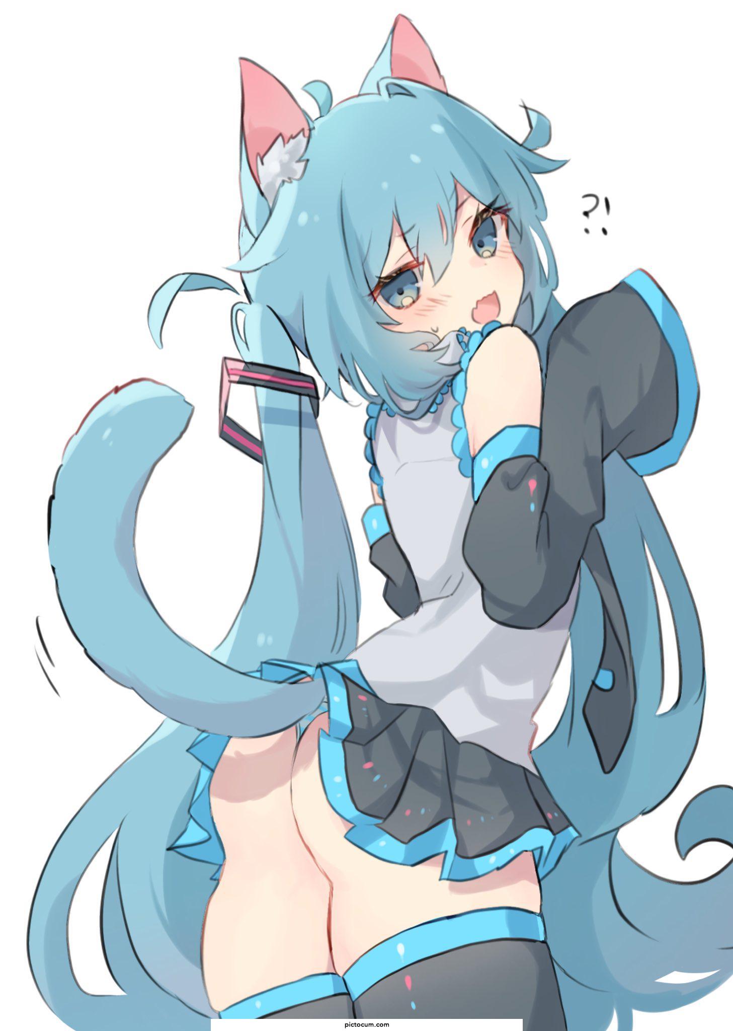 Miku-San please put on some cat ears!