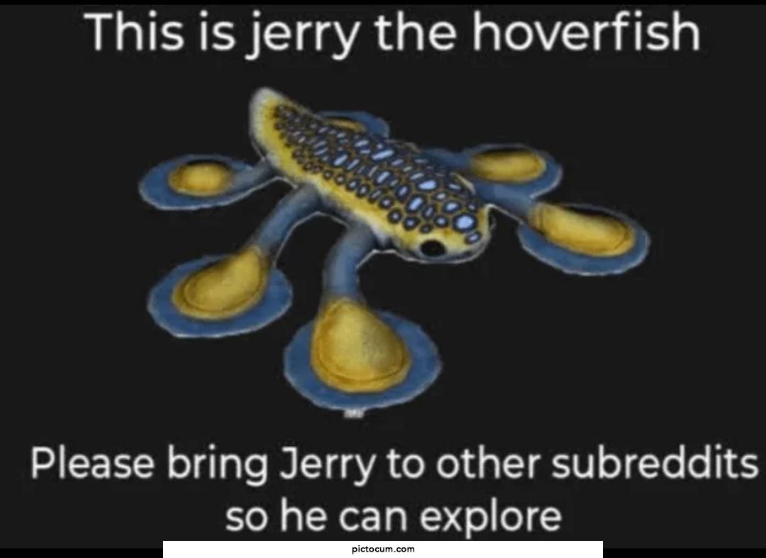Jerry the hoverfish